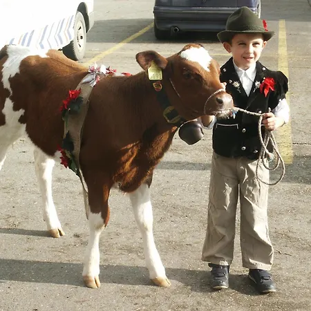 Szálloda Bluemlisalp