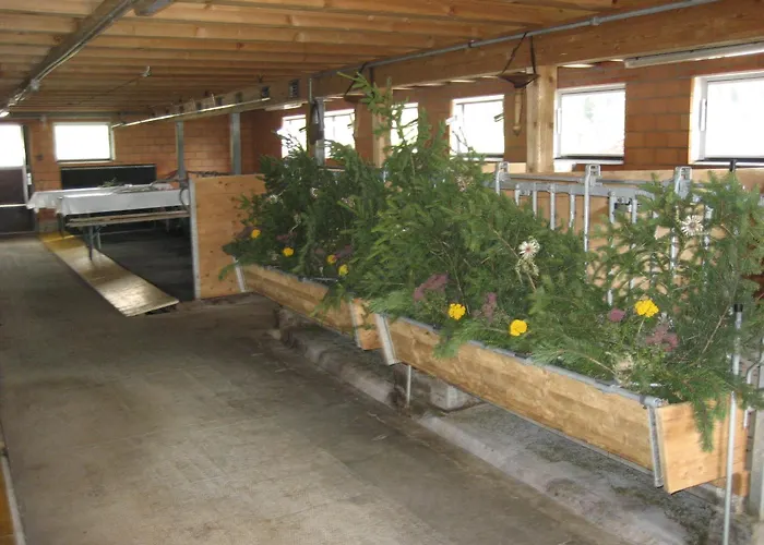 Ξενοδοχείο Bluemlisalp Γκρίντελβαλντ